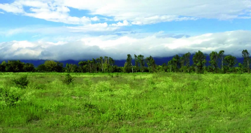 TERRENO EN LA JACINTA