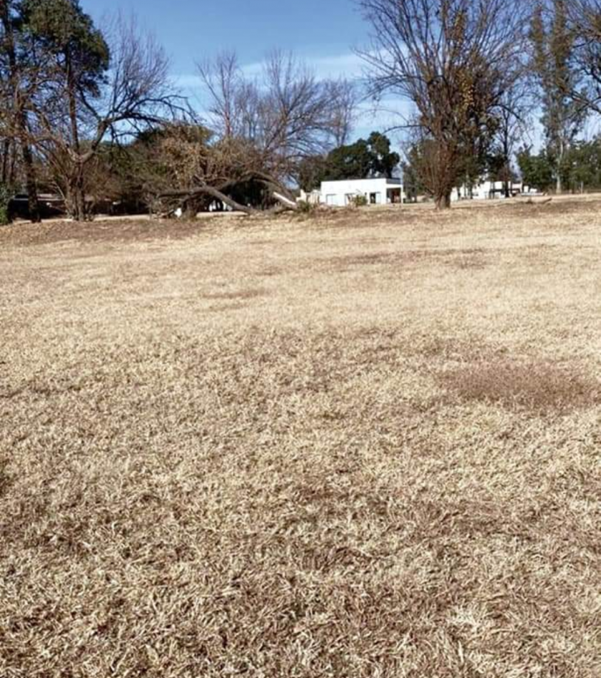 Terreno en Jardines de San Lorenzo