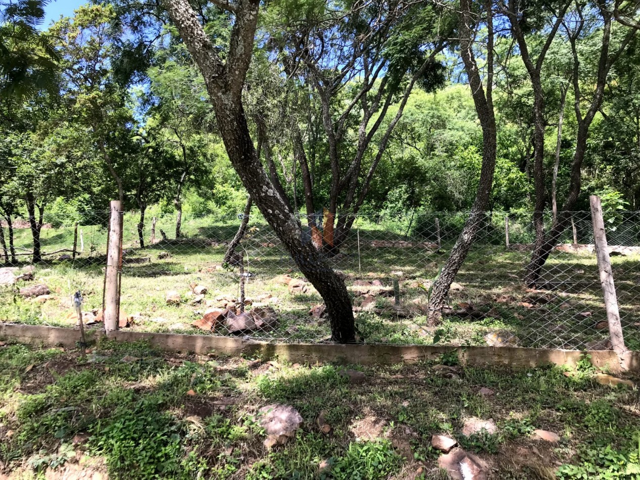 Dos Lotes contiguos en La Mision 