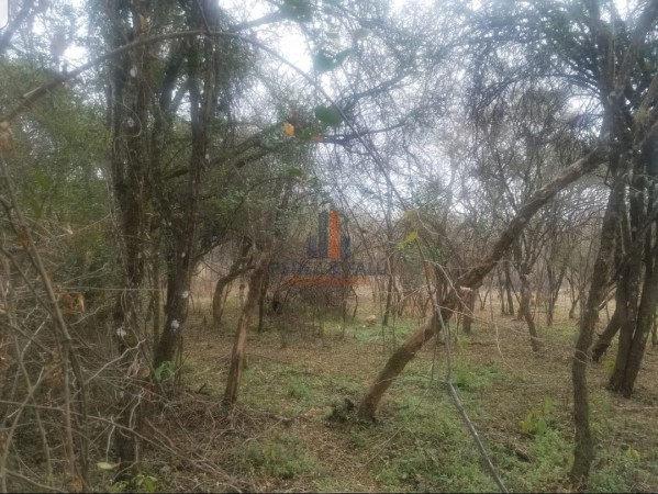 EL NOGALAR, LA CALDERA. AMPLIO TERRENO EN VENTA