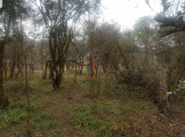EL NOGALAR, LA CALDERA. AMPLIO TERRENO EN VENTA