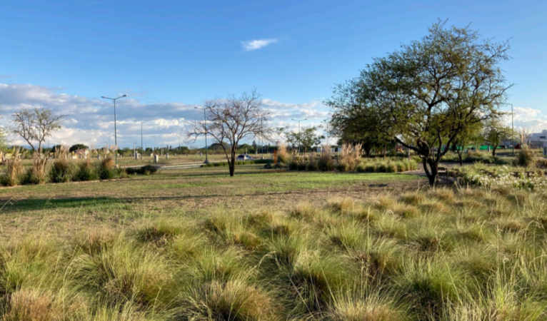  Via Aurelia terreno en Venta 