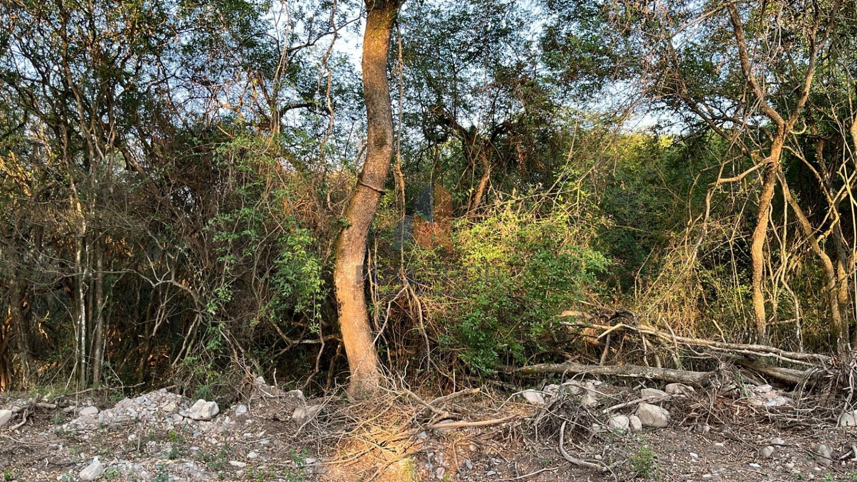 TERRENO EN LA CALDERA (LOTEO EL DURAZNO)