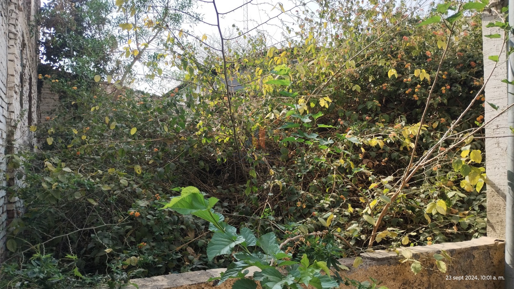 CASA EN VENTA A RECICLAR -GUEMES Y SANTIAGO DEL ESTERO- 